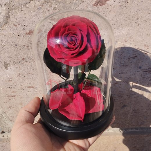 Անթառամ վարդեր - 3 Տուփով Անթառամ վարդեր — 15սմ